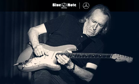 һֱֶӡ: ʦMichael Landauר|Fender