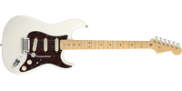 Fender0119302701