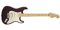 Fender0113102775