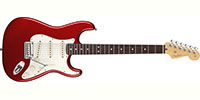 Fender0113000794