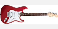 Squier0310005509