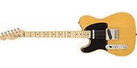 Fender0110133850