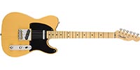 Fender0110132850