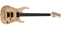 Charvel2969851557 