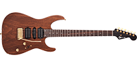 Charvel2929844557