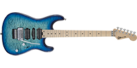 Charvel2925434599