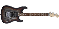 Charvel2925834535