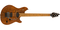 EVH5107002511