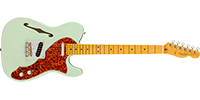 Fender0171022735