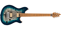 EVH5107701595