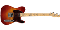Fender5660102384