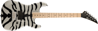 Charvel2965012321