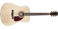 Fender0960321021