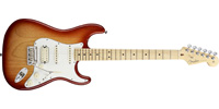 Fender0113102747