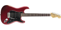 Fender0131610309