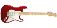 Fender0113102794