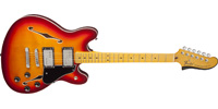 Fender0243102531