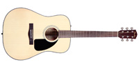 Fender0961535021