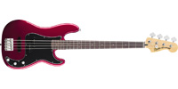 Squier0306800509