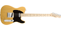 Fender0119502750