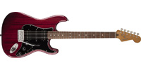 Fender0242100538