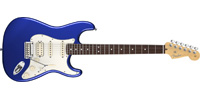 Fender0113100795