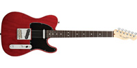 Fender0113200738