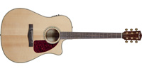 Fender0961501021