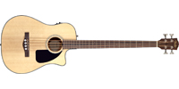 Fender0961560021