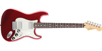 Fender0148100509