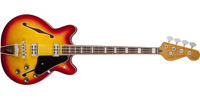 Fender0243200531