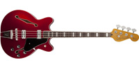 Fender0243200509