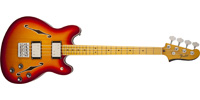 Fender0243302531